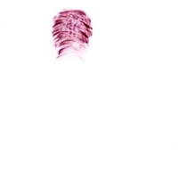 pastel rose sur calque,nuque david, 21x29,7cm, 2008 MX 27 2